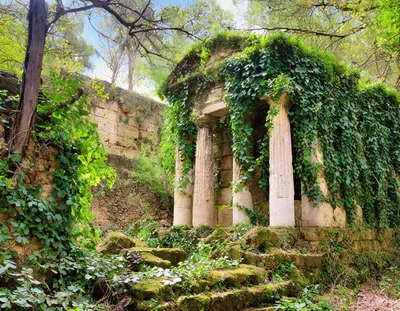 Ancient Greek Temple Ruins Overgrown With Ivy