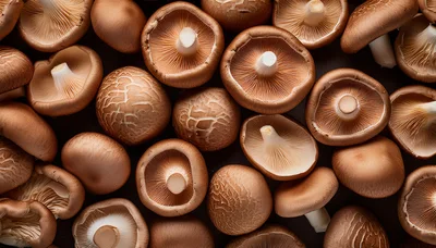 Fresh Shiitake Mushrooms Arranged On Dark Background