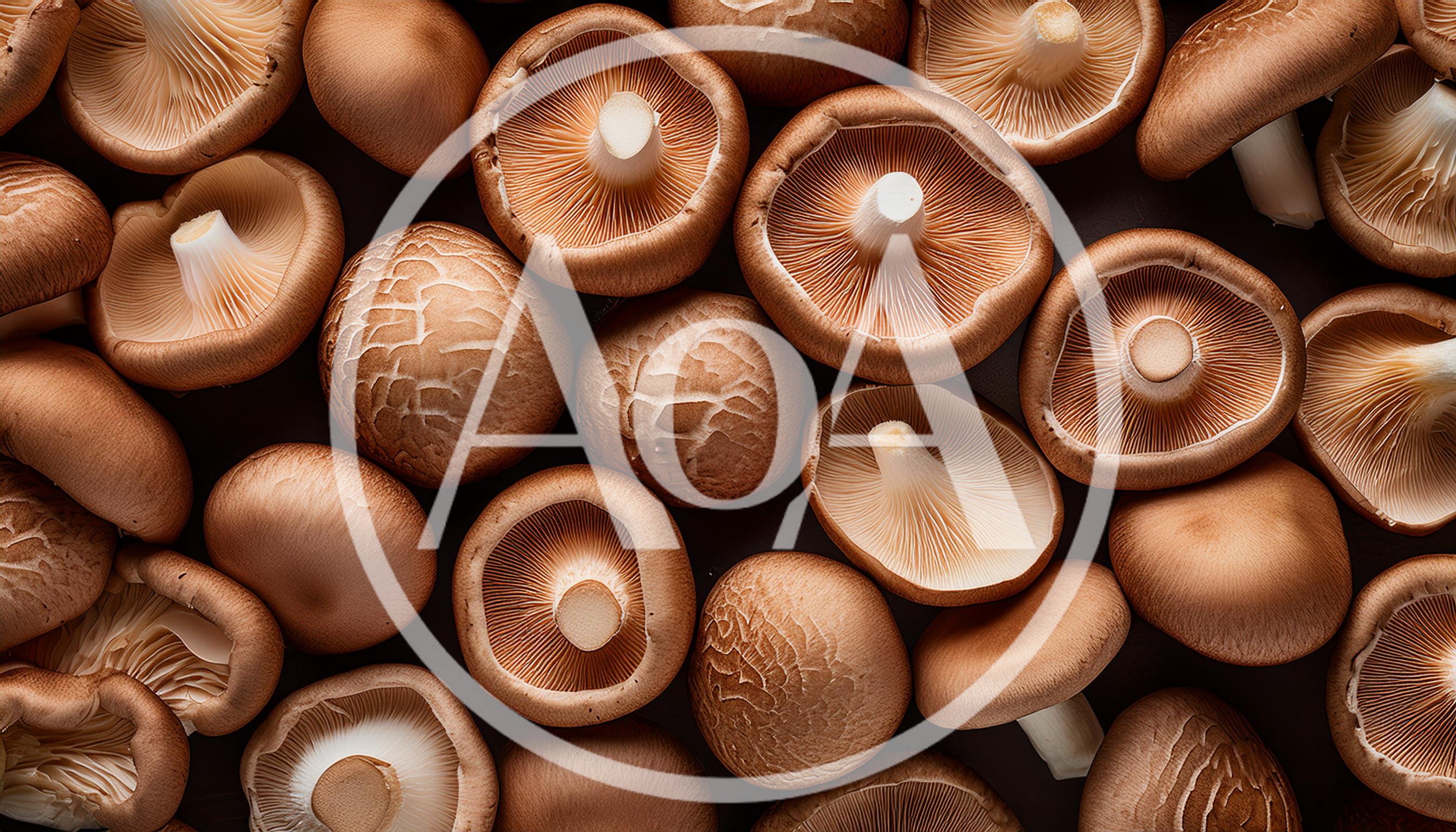 Fresh Shiitake Mushrooms Arranged On Dark Background