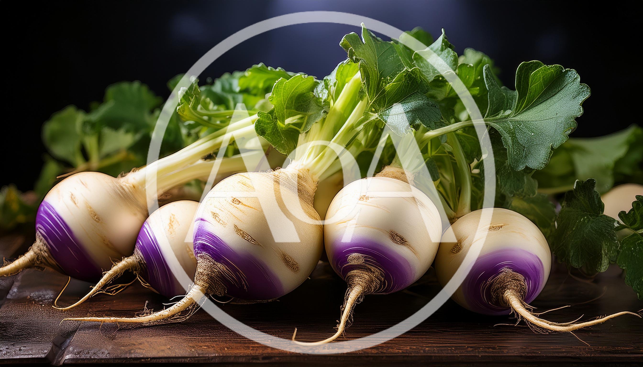 Fresh Purple Top Turnips With Green Leaves