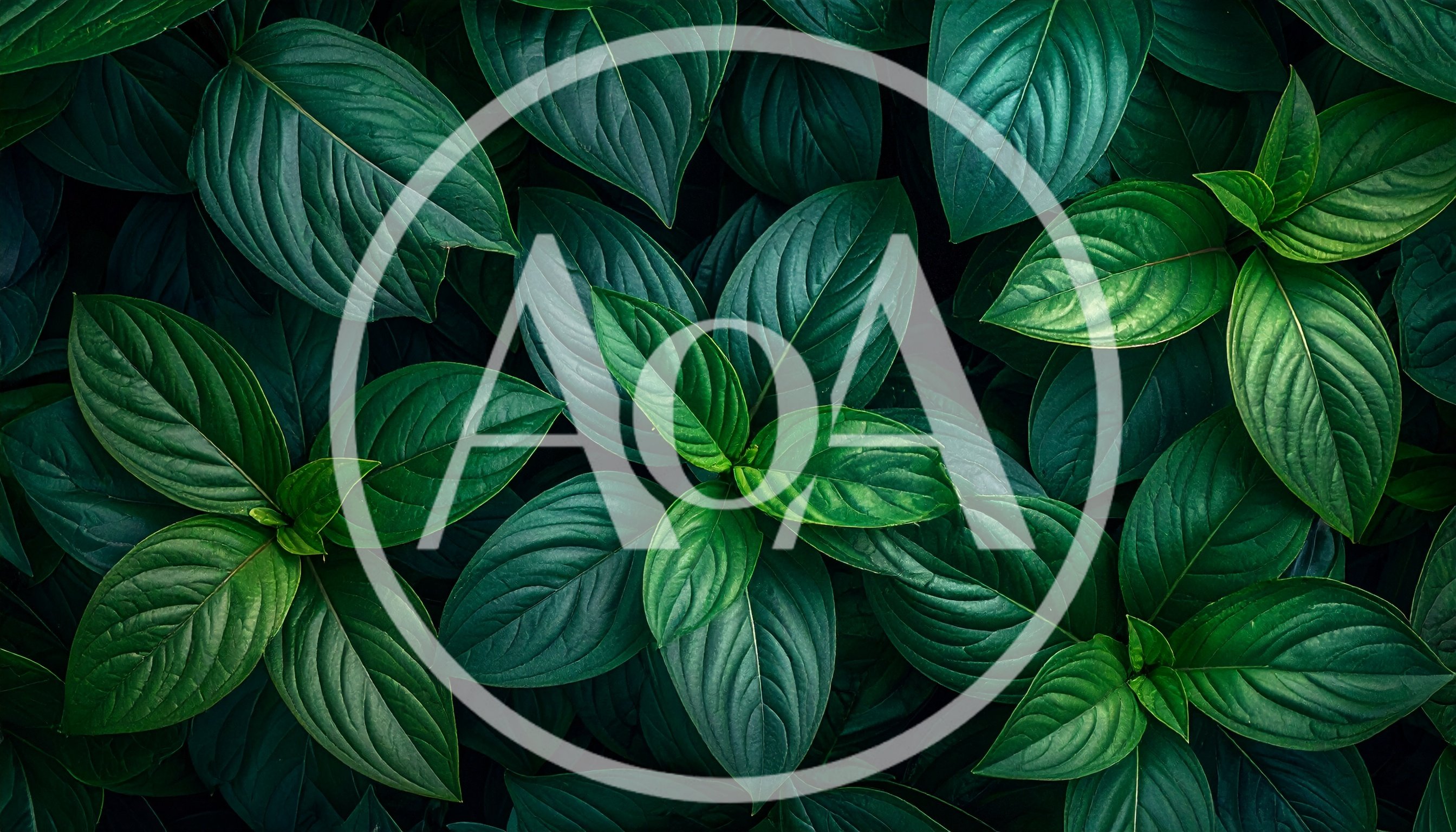 Lush Green Tropical Foliage Background