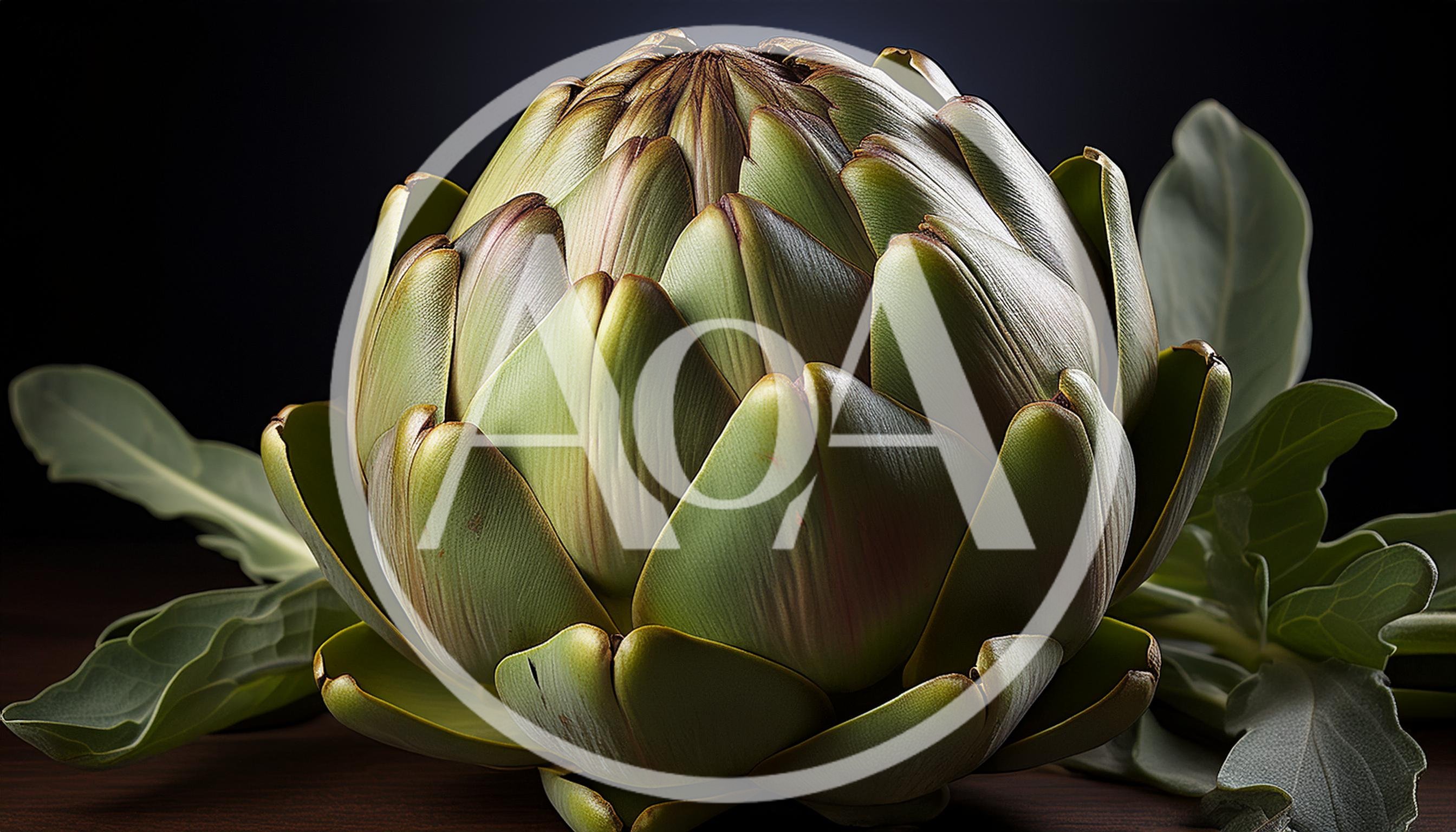 Fresh Globe Artichoke With Leaves On Dark Background