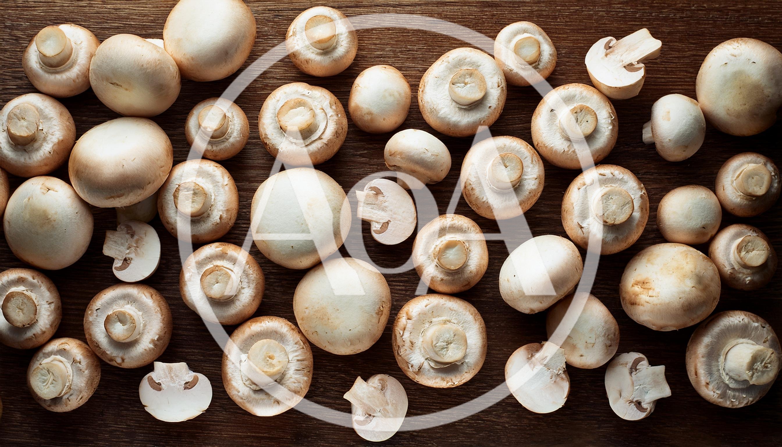 Fresh White Button Mushrooms On Wooden Table