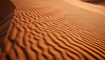 Rippled Sand Dunes In The Desert Landscape