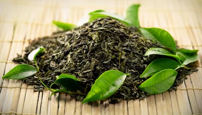 Dried Green Tea Leaves With Fresh Leaves