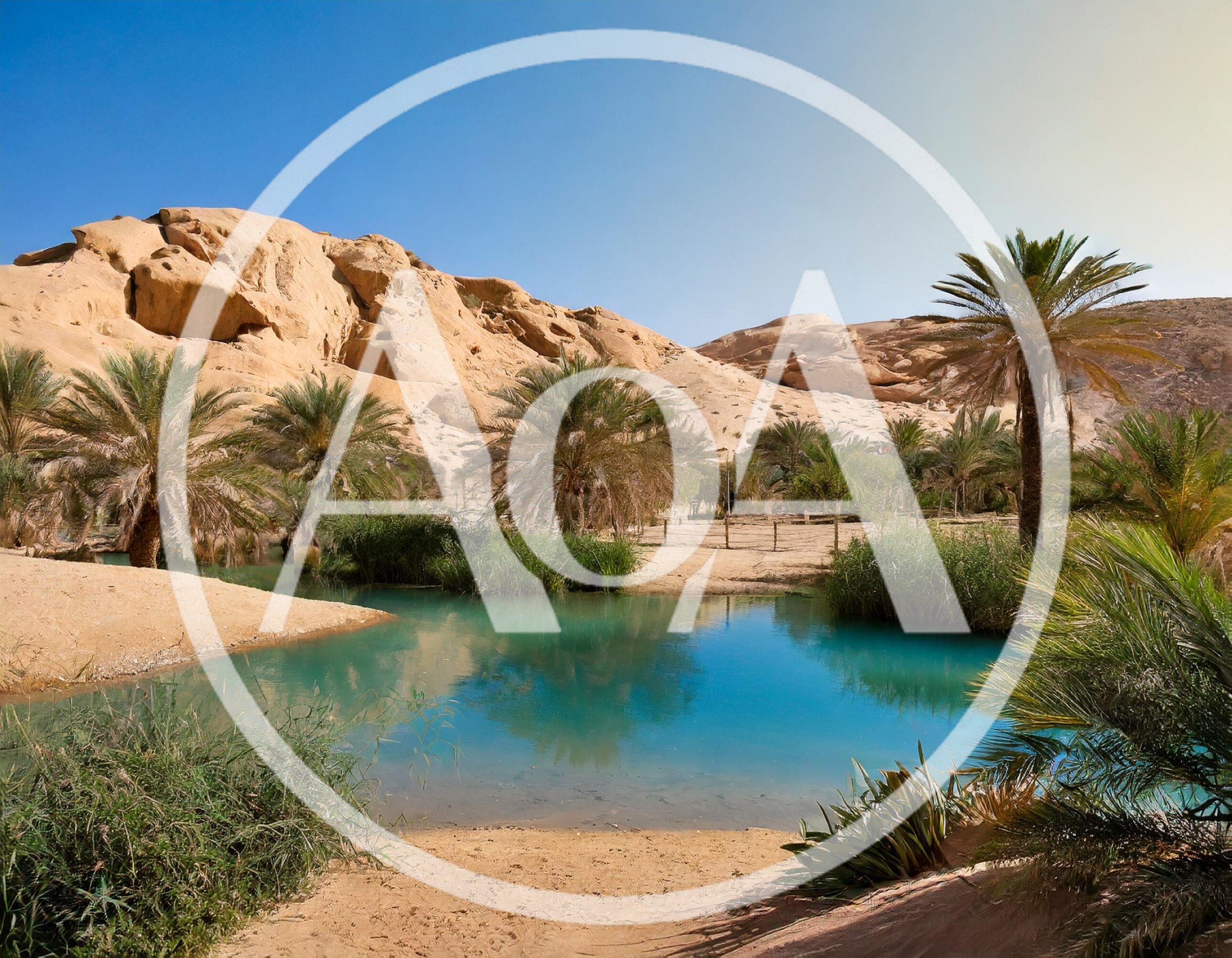 Oasis With Turquoise Water And Palm Trees In Desert