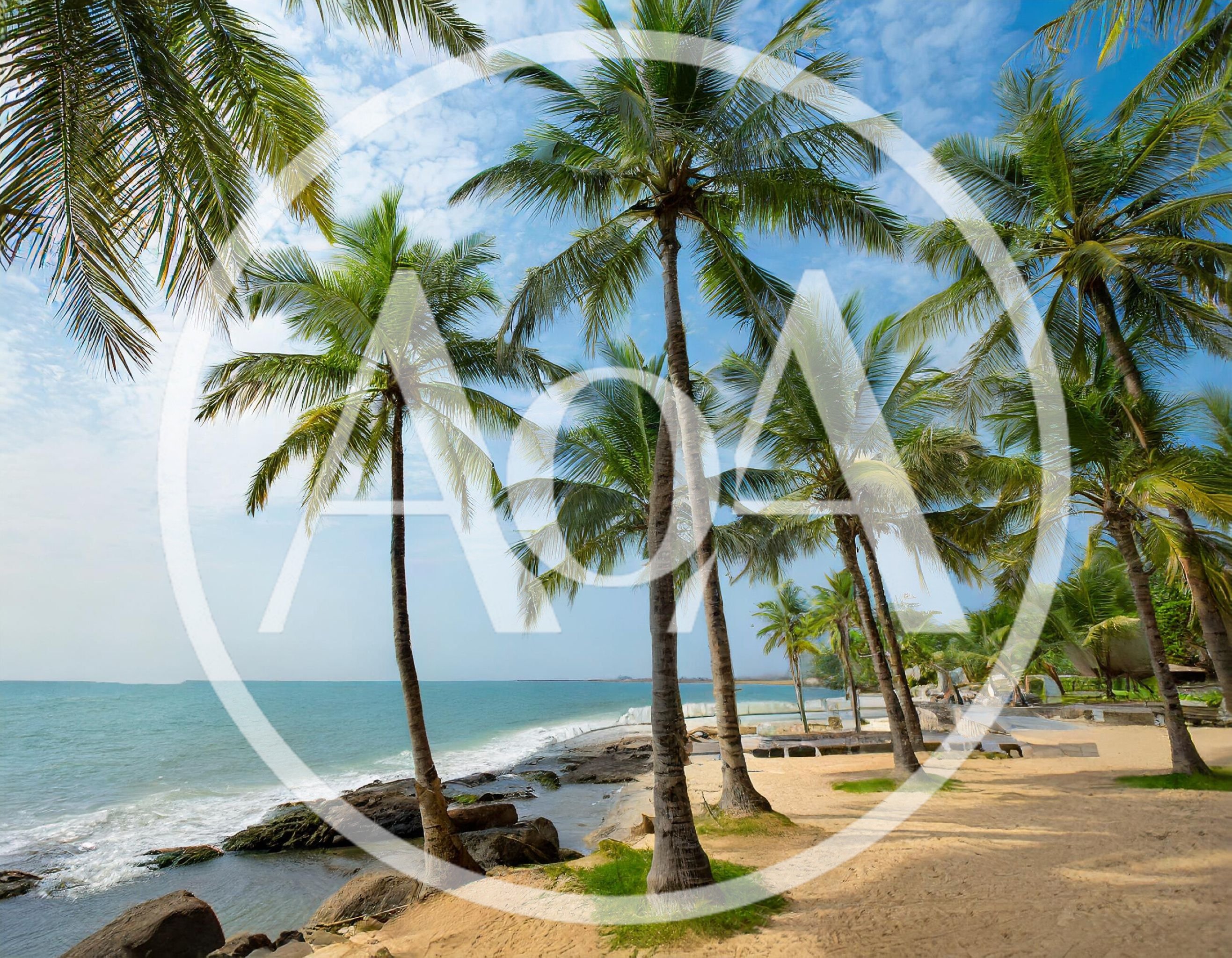 Tropical Beach Scene With Palm Trees And Ocean Waves