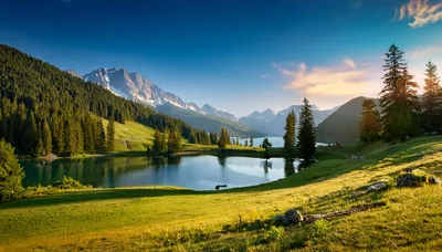 Alpine Lake Landscape With Mountain Peaks And Pine Forest