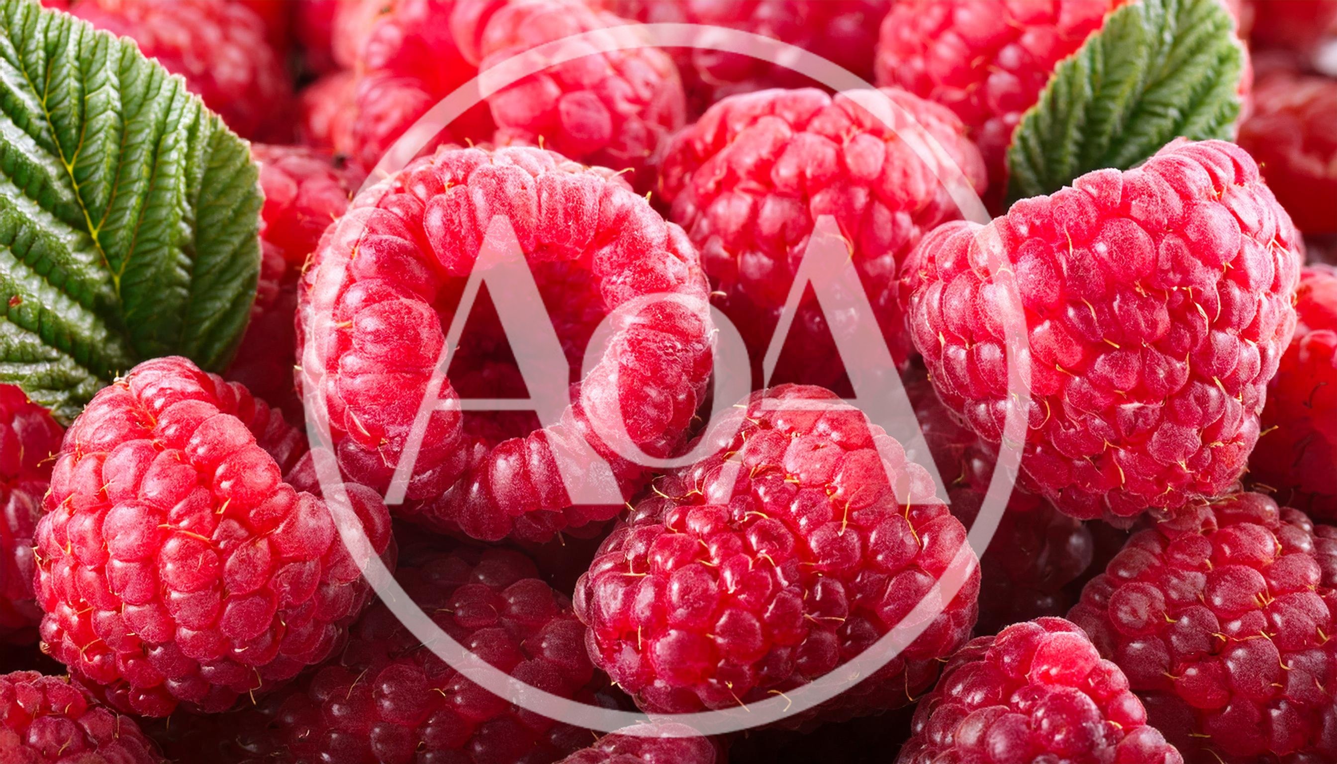 Fresh Ripe Raspberries With Green Leaves