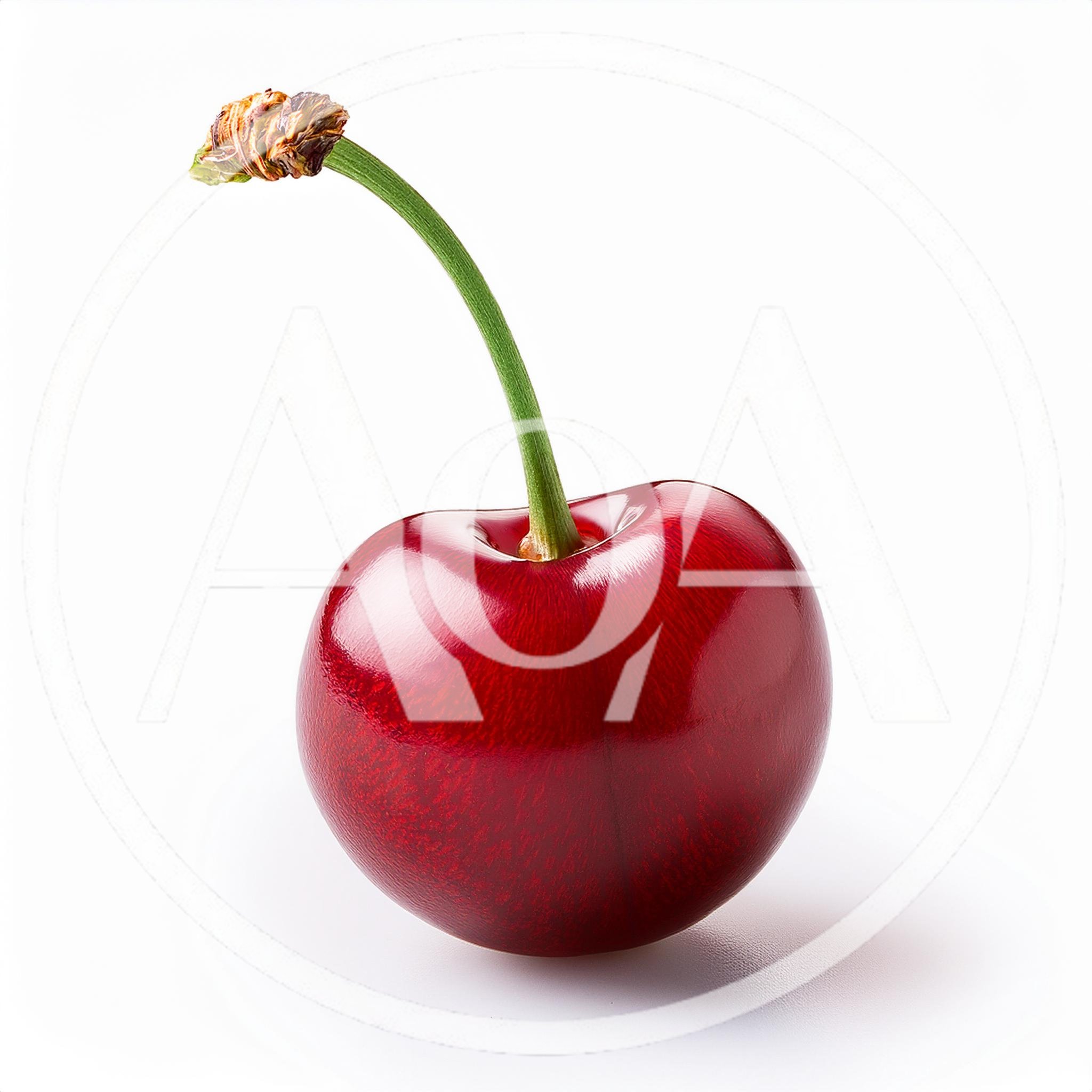 Single Fresh Red Cherry With Stem