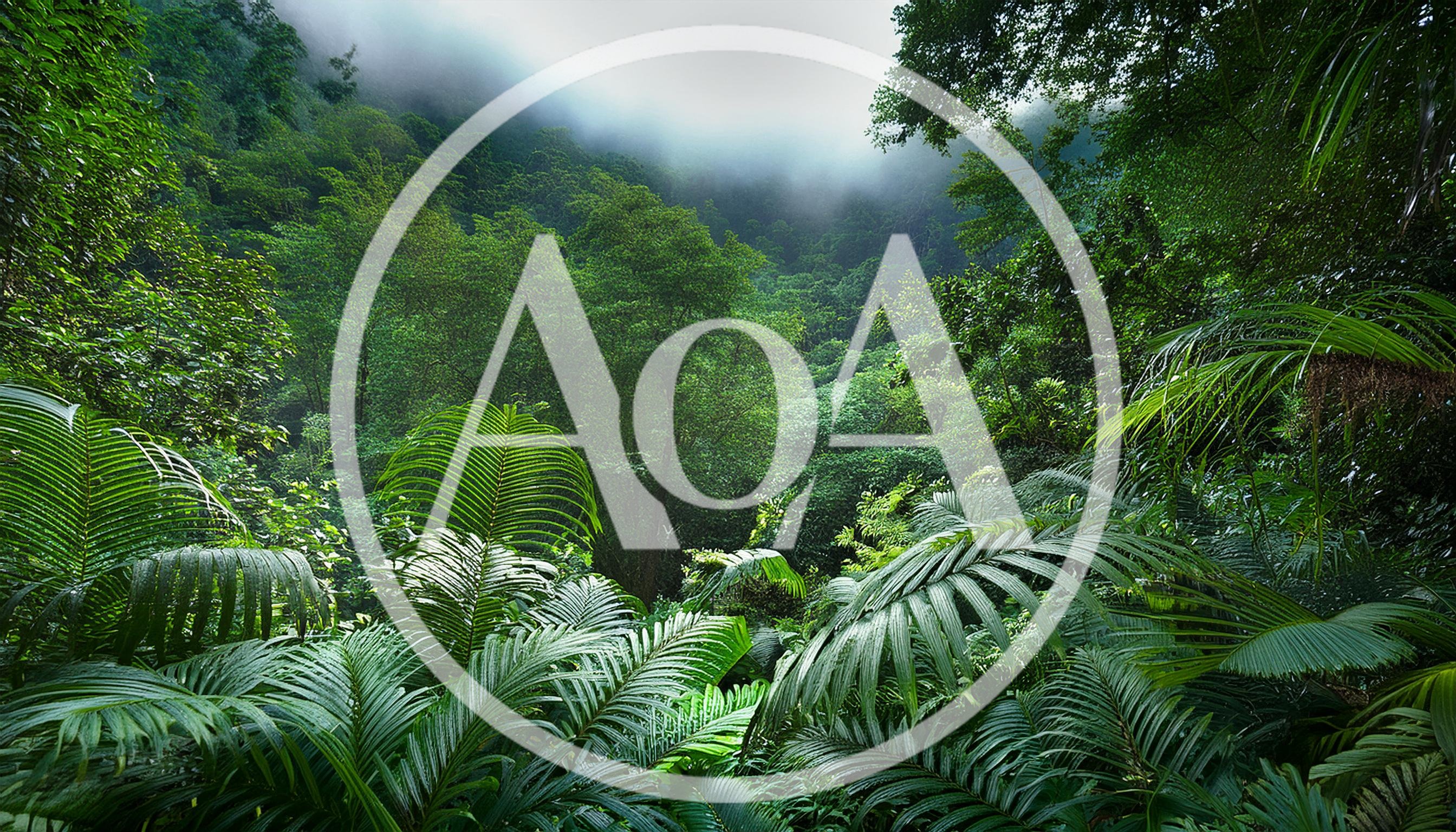 Lush Tropical Rainforest Canopy With Mist And Ferns