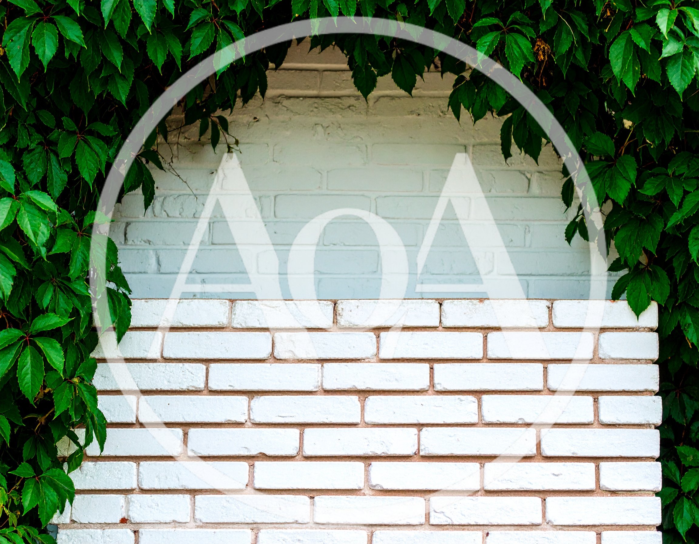 White Brick Wall Framed By Lush Green Ivy