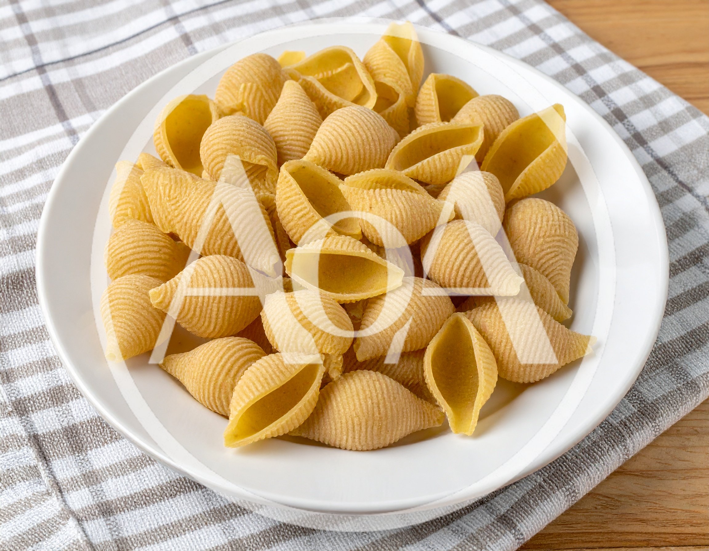 Raw Conchiglie Pasta Shells on a White Plate