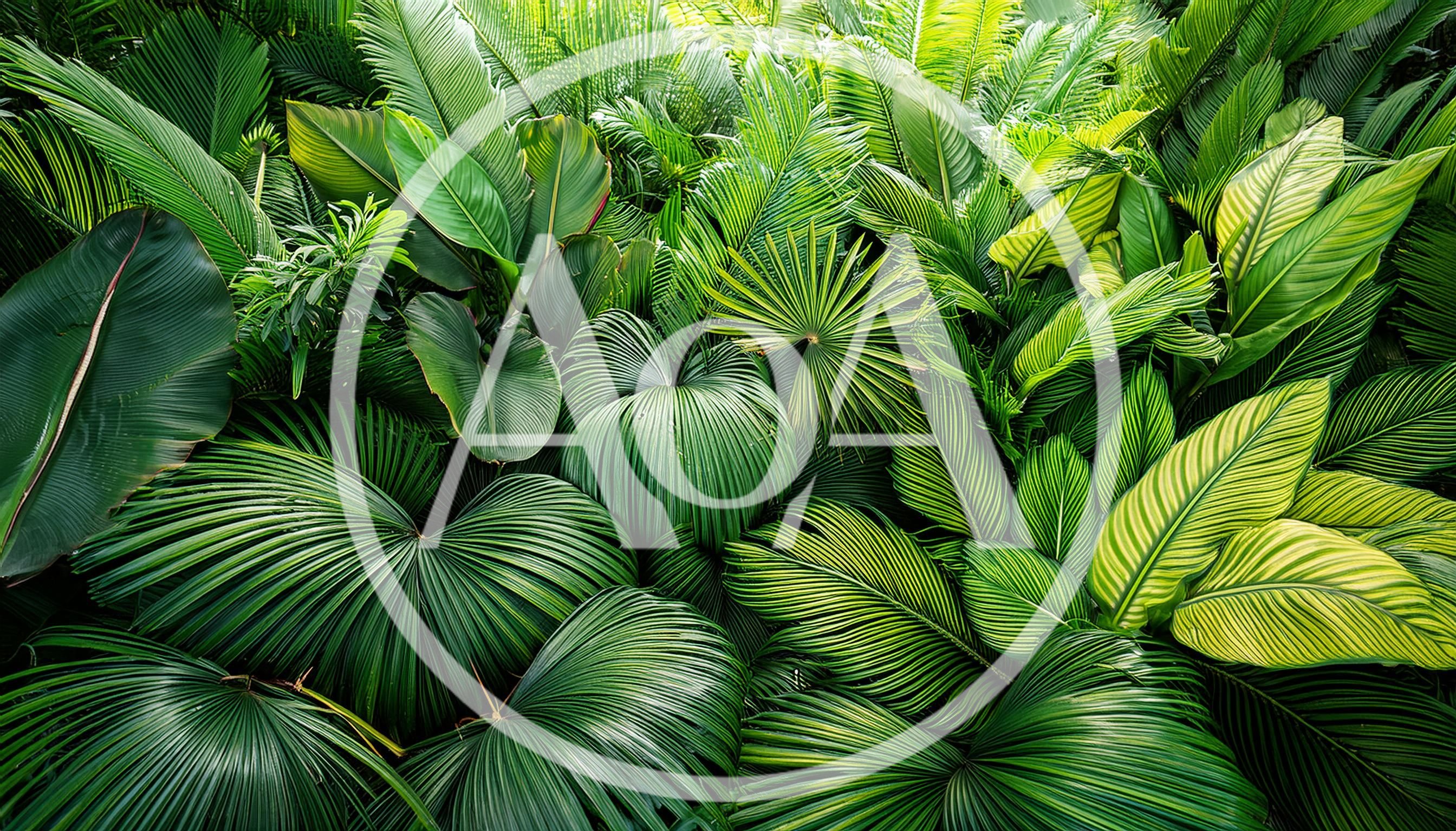 Lush Tropical Foliage With Diverse Green Palm Leaves