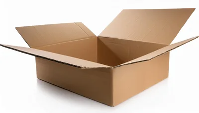 Open Empty Cardboard Shipping Box
