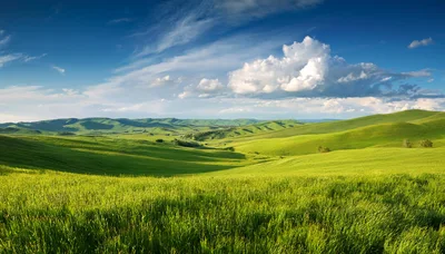Rolling Green Hills Under A Dramatic Blue Sky