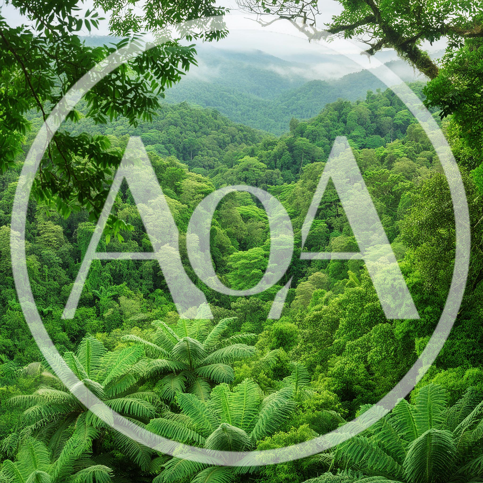 Lush Tropical Rainforest Canopy With Ferns And Mist