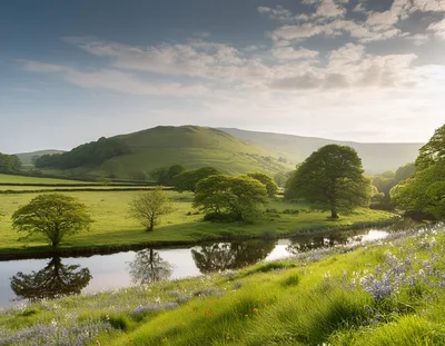 Scenic River Landscape With Bluebells In The Peak District