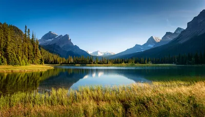 Scenic View Of Emerald Lake In Yoho National Park