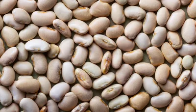 Top View Of Dried White Beans Background