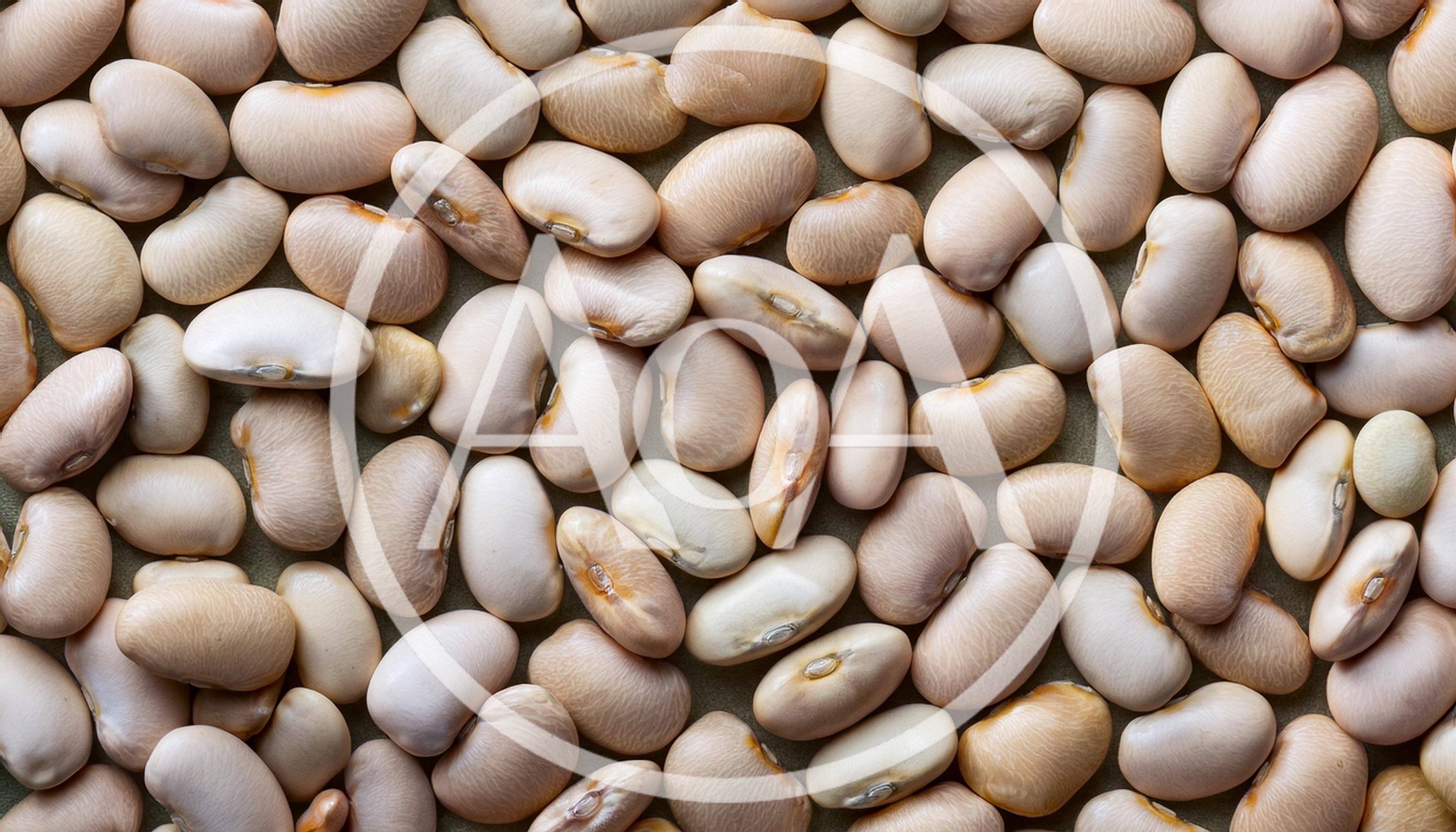 Top View Of Dried White Beans Background