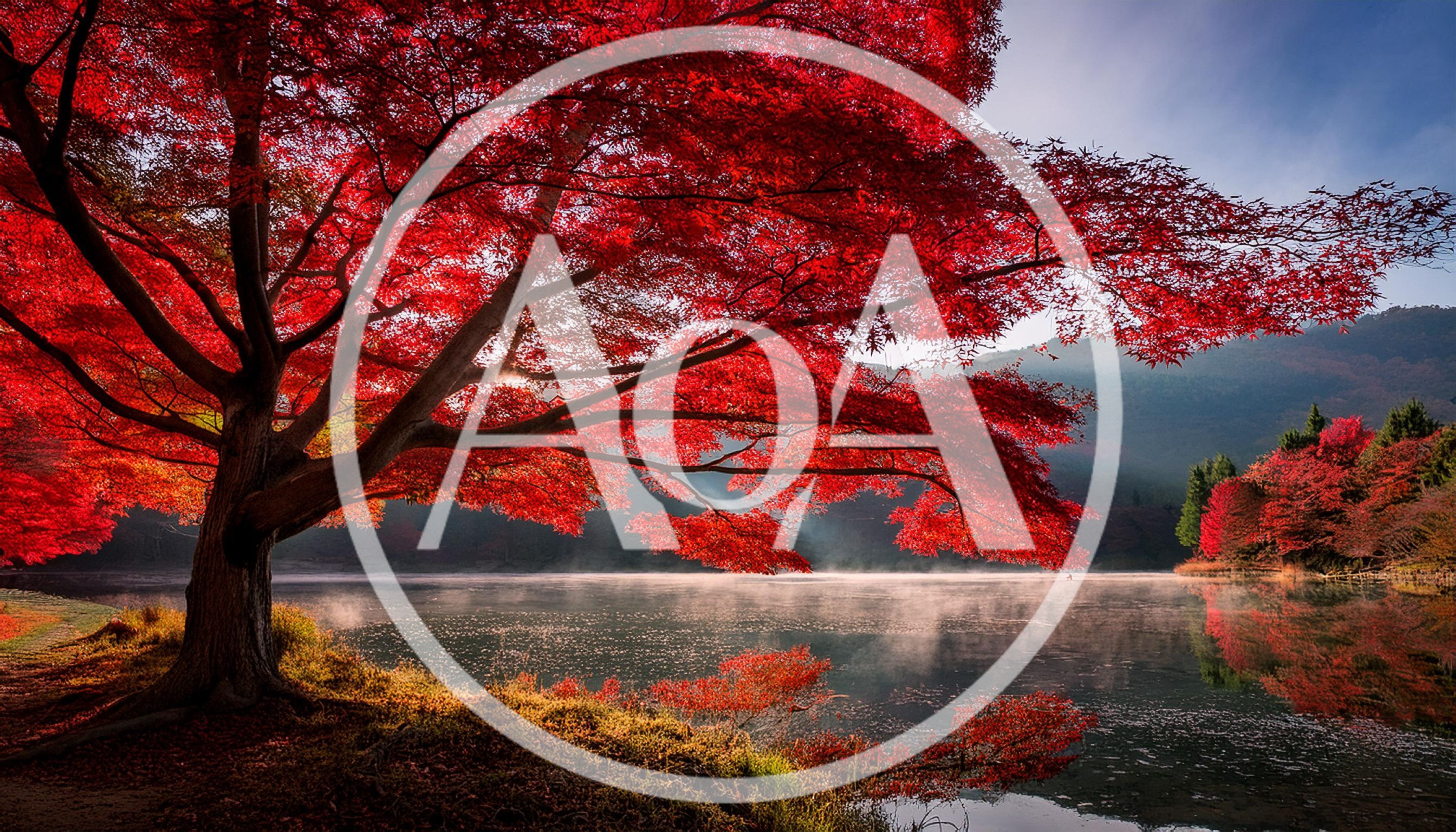 Vibrant Red Japanese Maple Tree Overlooking Misty Lake
