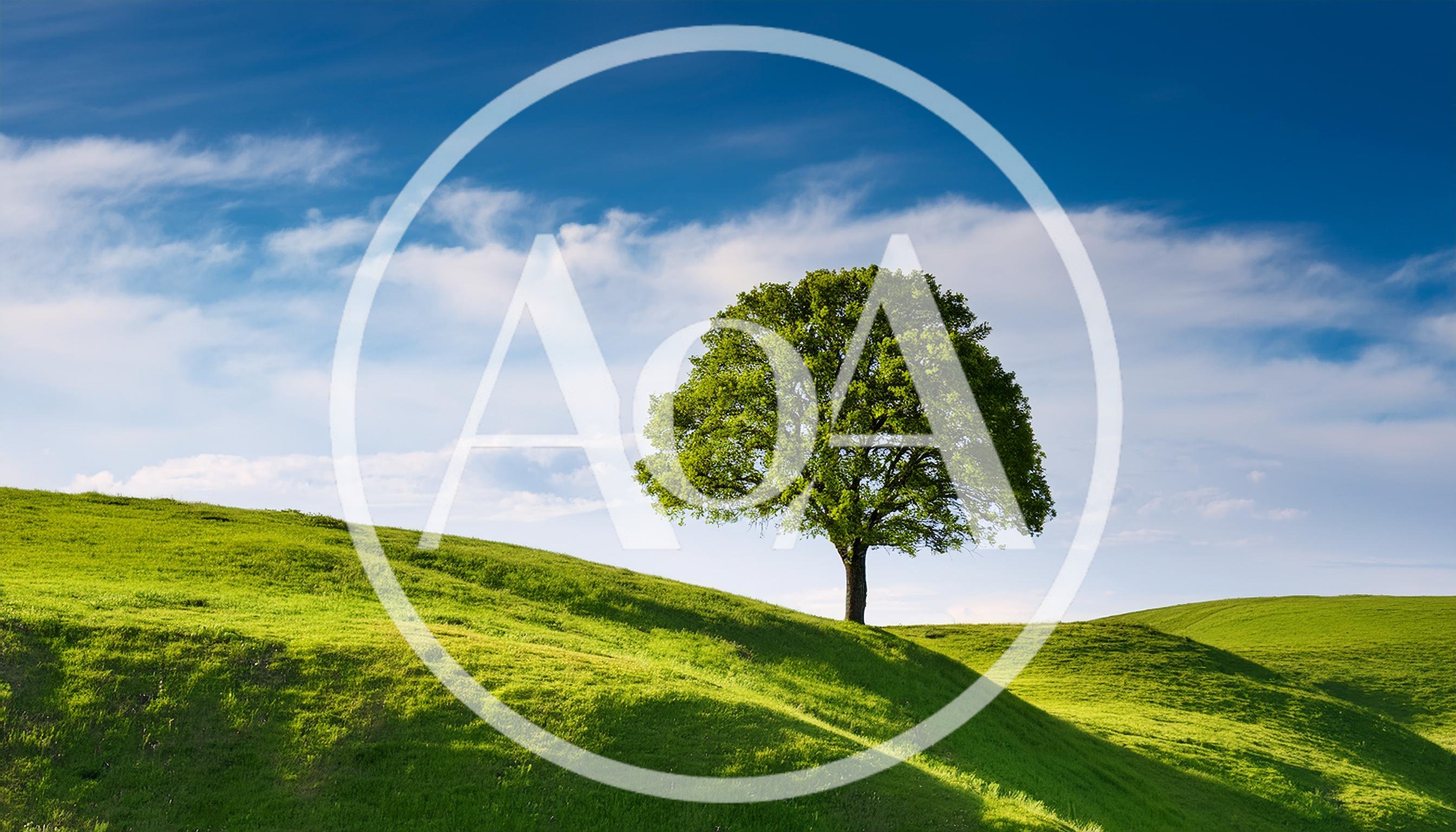 Solitary Green Oak Tree On Rolling Grassy Hill