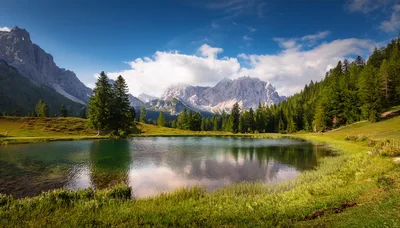 Scenic Alpine Lake With Mountain Peaks And Pine Forest
