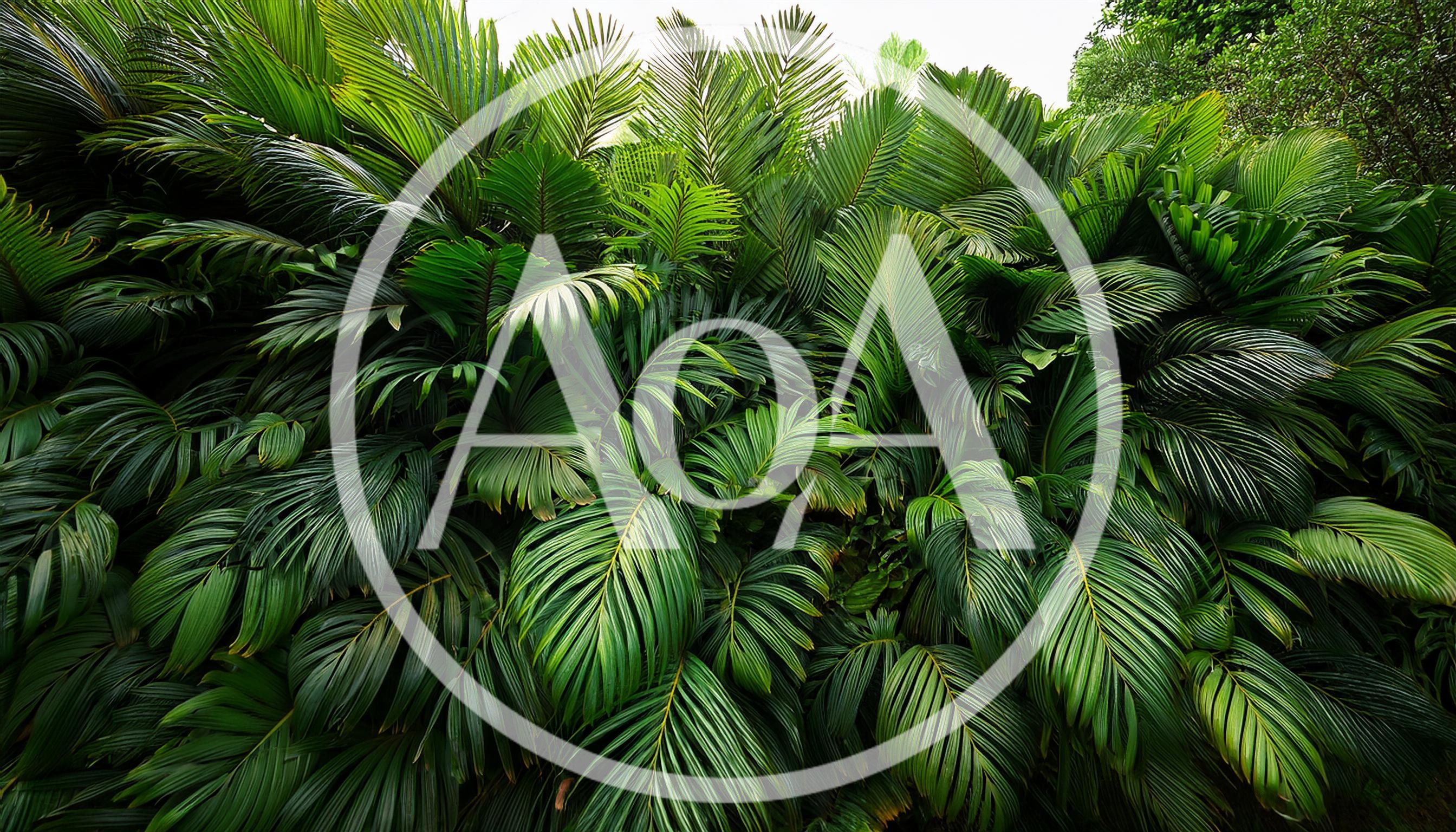 Lush Tropical Palm Fronds Background