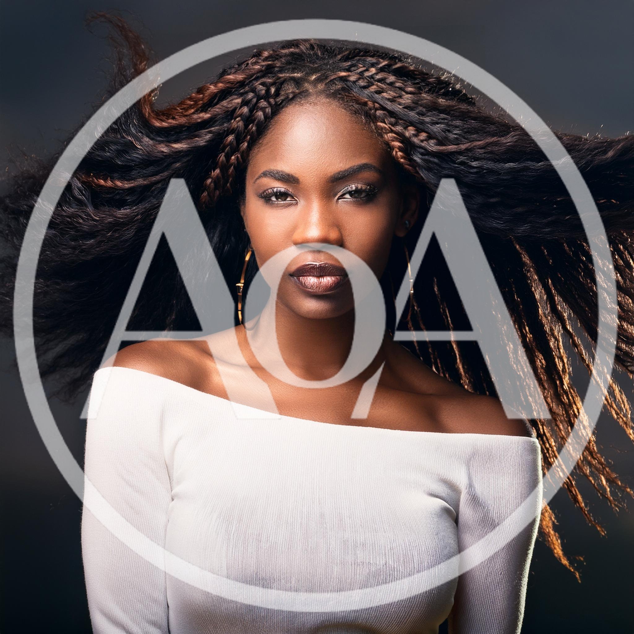 Portrait Of A Beautiful Woman With Flowing Braided Hair