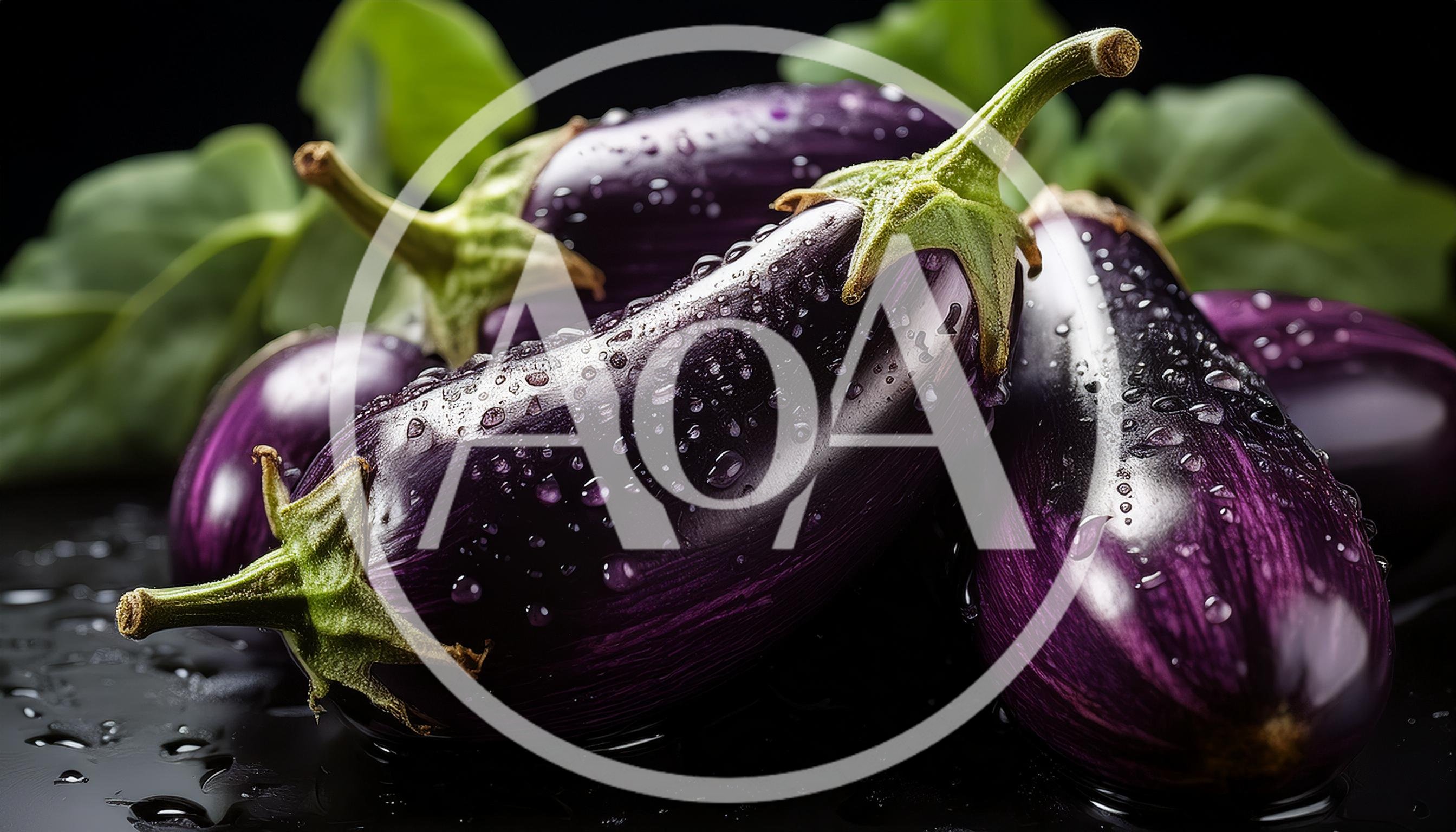 Fresh Purple Eggplants With Water Droplets