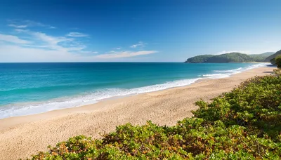 Scenic View Of A Tropical Beach With Lush Vegetation