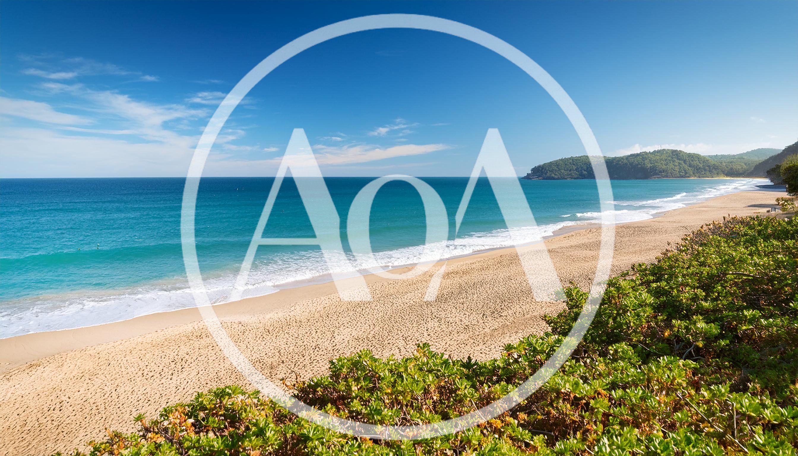 Scenic View Of A Tropical Beach With Lush Vegetation