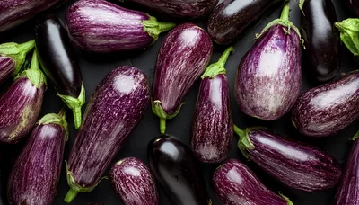 Fresh Purple Striped Eggplants On Dark Background