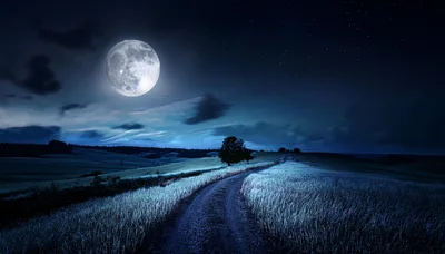 Full Moon Over A Rural Dirt Road At Night