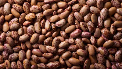Top View Of Raw Pinto Beans Background
