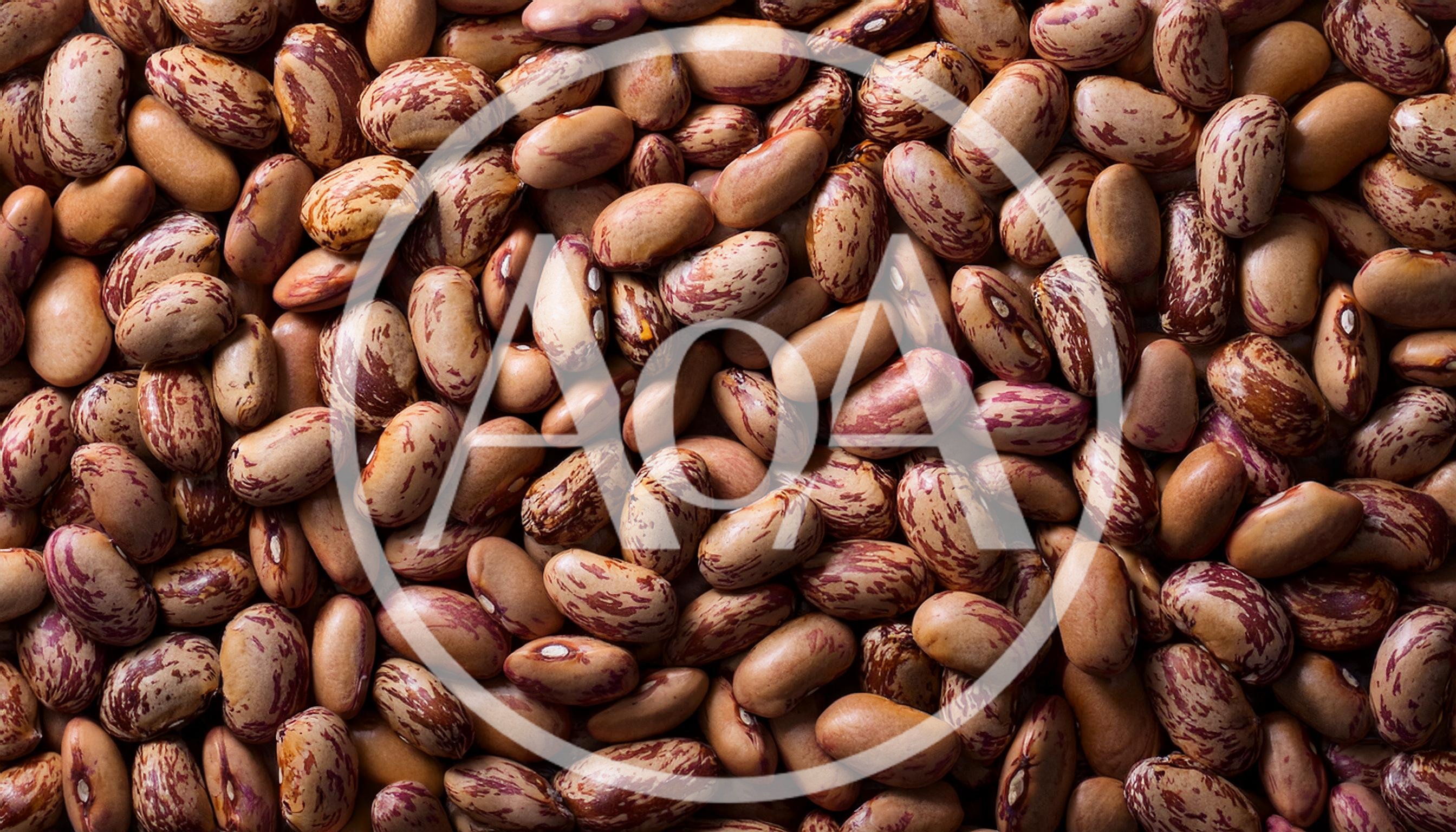 Top View Of Raw Pinto Beans Background