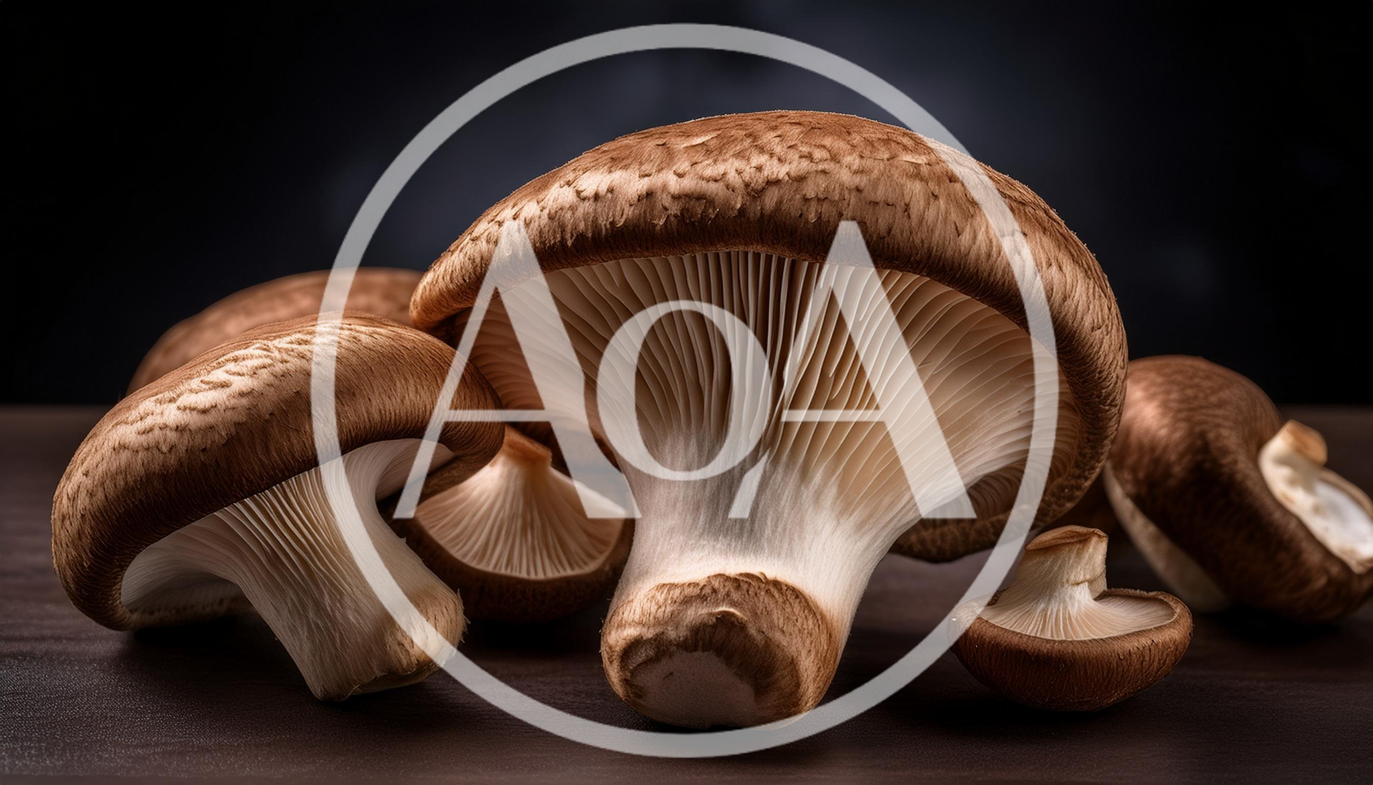 Fresh Shiitake Mushrooms Arranged On A Dark Surface