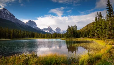 Scenic Mountain Lake Landscape With Pine Forest