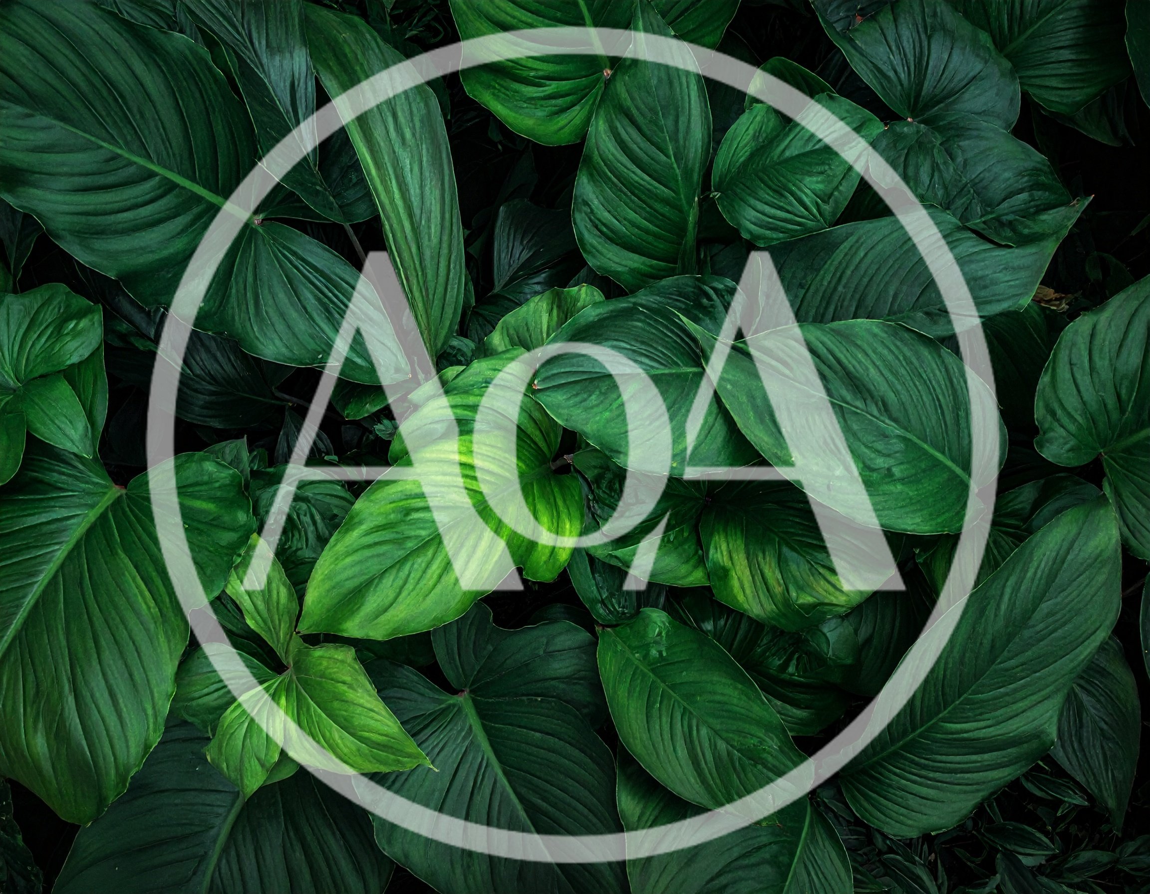 Lush Tropical Green Foliage Background