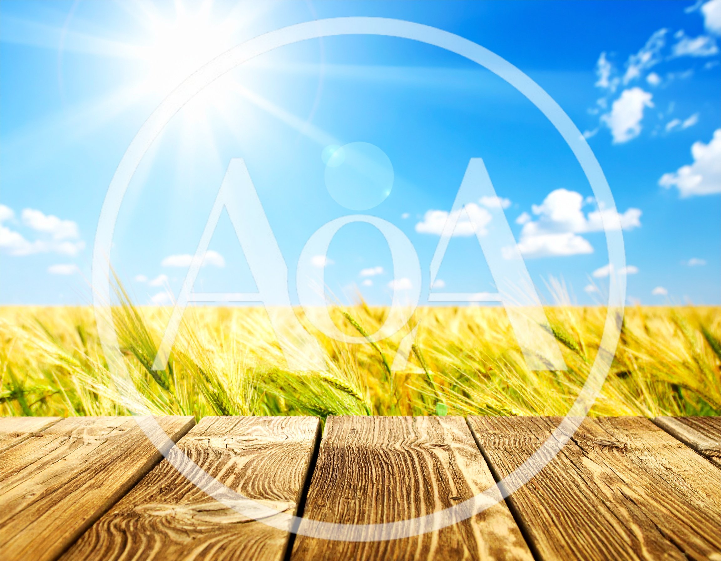 Wooden Table Surface Overlooking A Golden Wheat Field