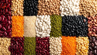Top View Of Assorted Dried Legumes And Beans