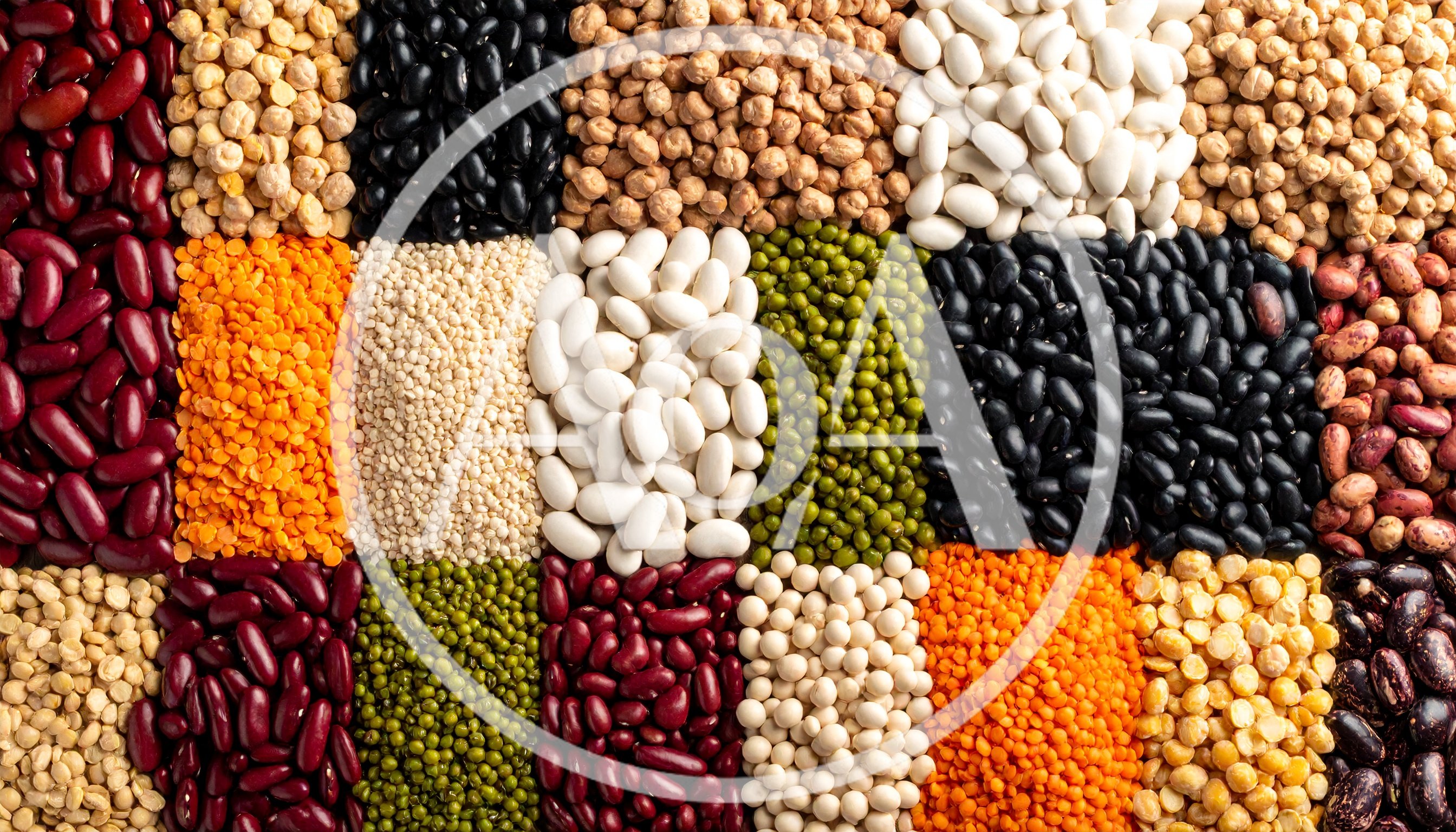 Top View Of Assorted Dried Legumes And Beans