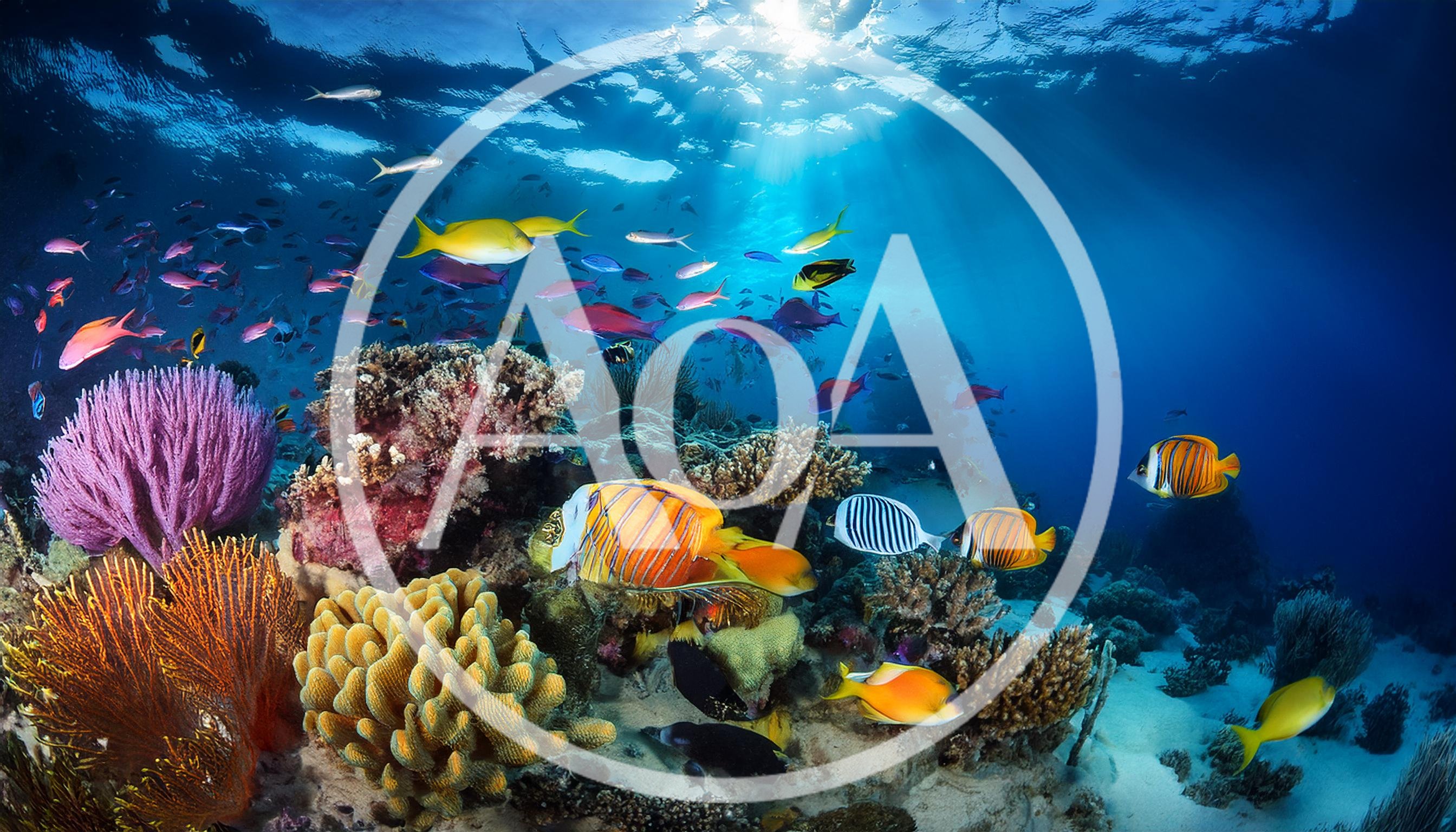 Vibrant Coral Reef Ecosystem With Tropical Fish