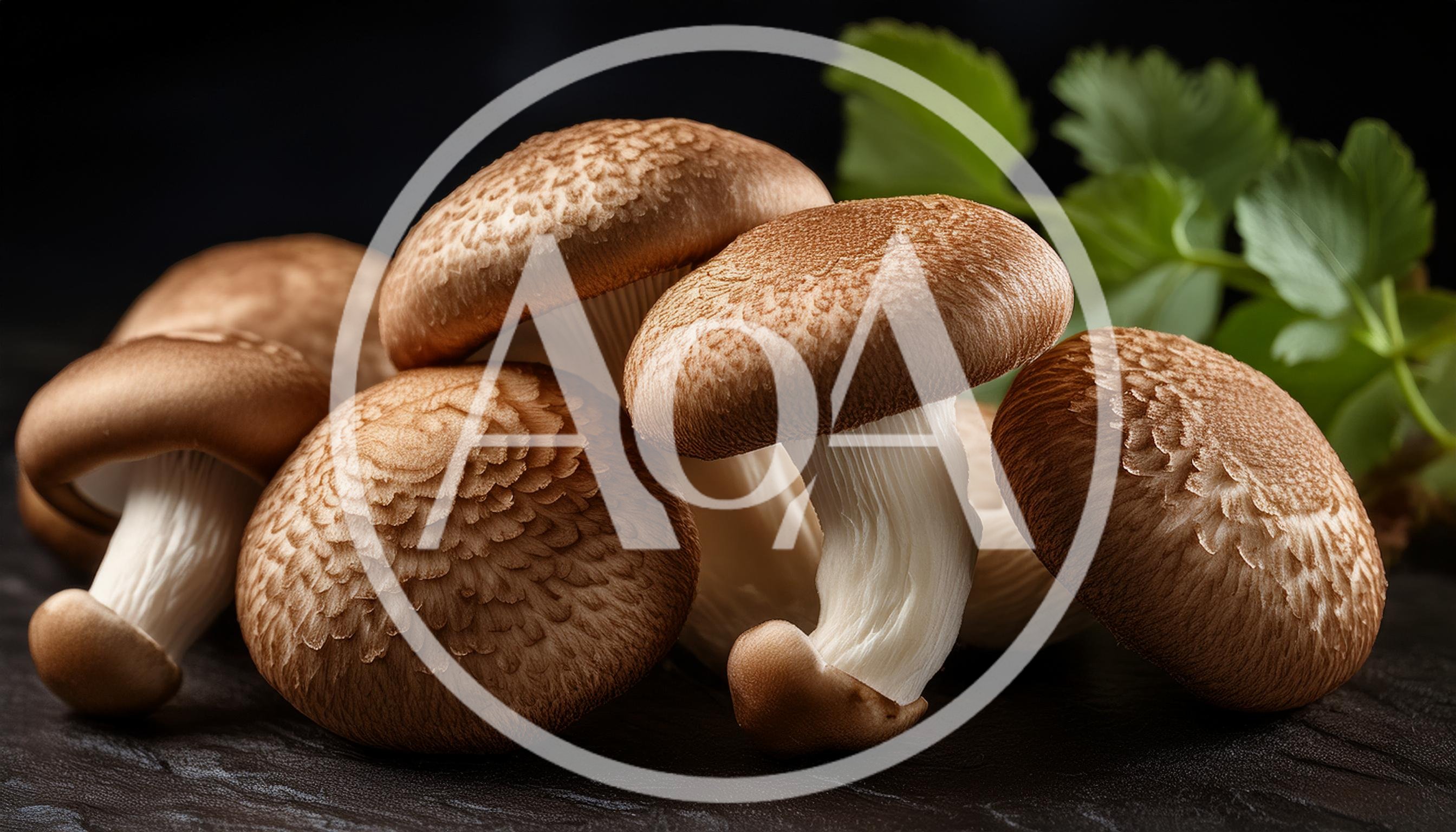 Fresh Shiitake Mushrooms Arranged On A Dark Surface