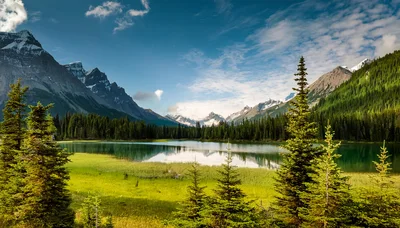 Scenic Mountain Lake Landscape With Evergreen Forest