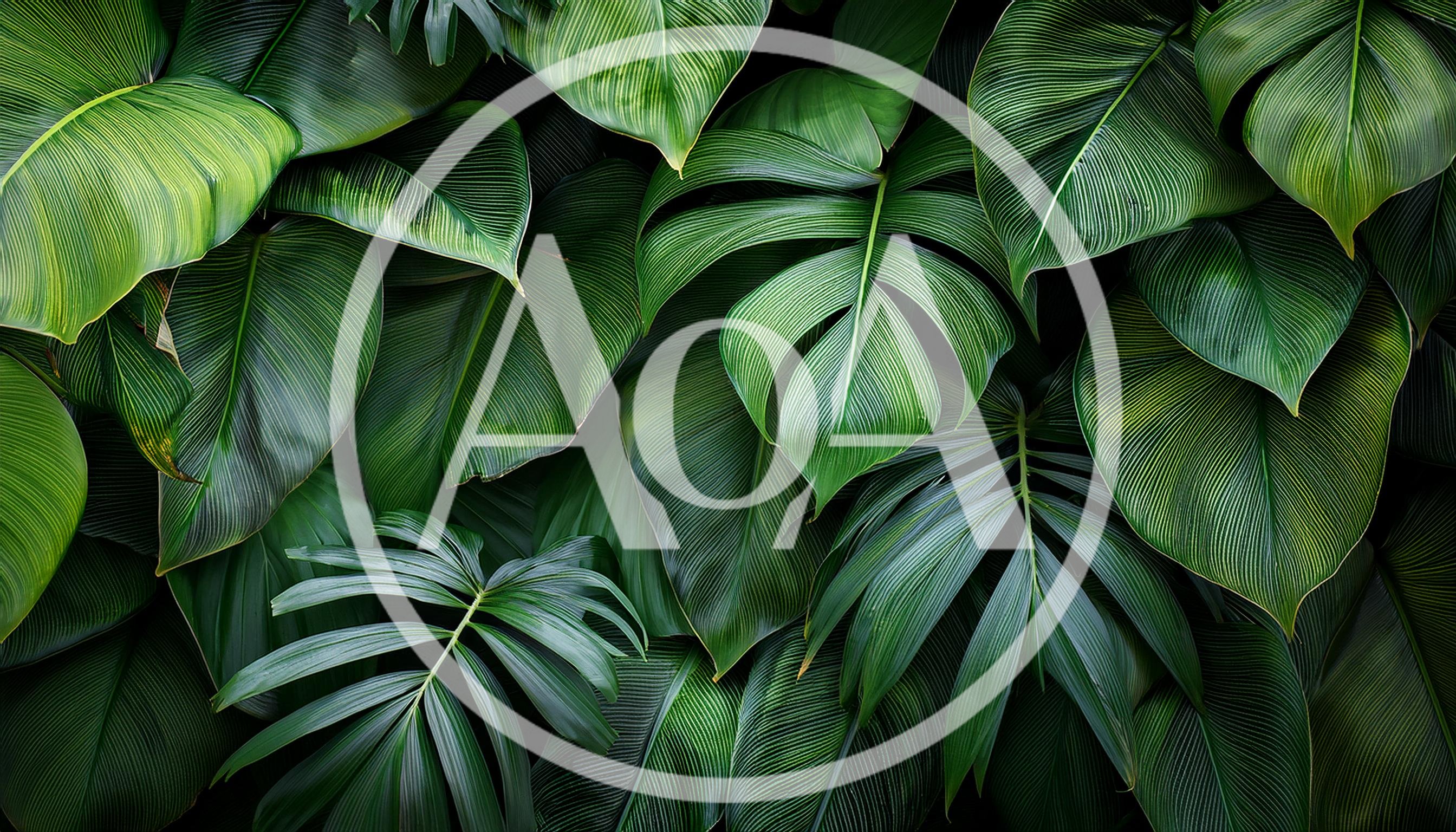 Lush Tropical Green Foliage Background
