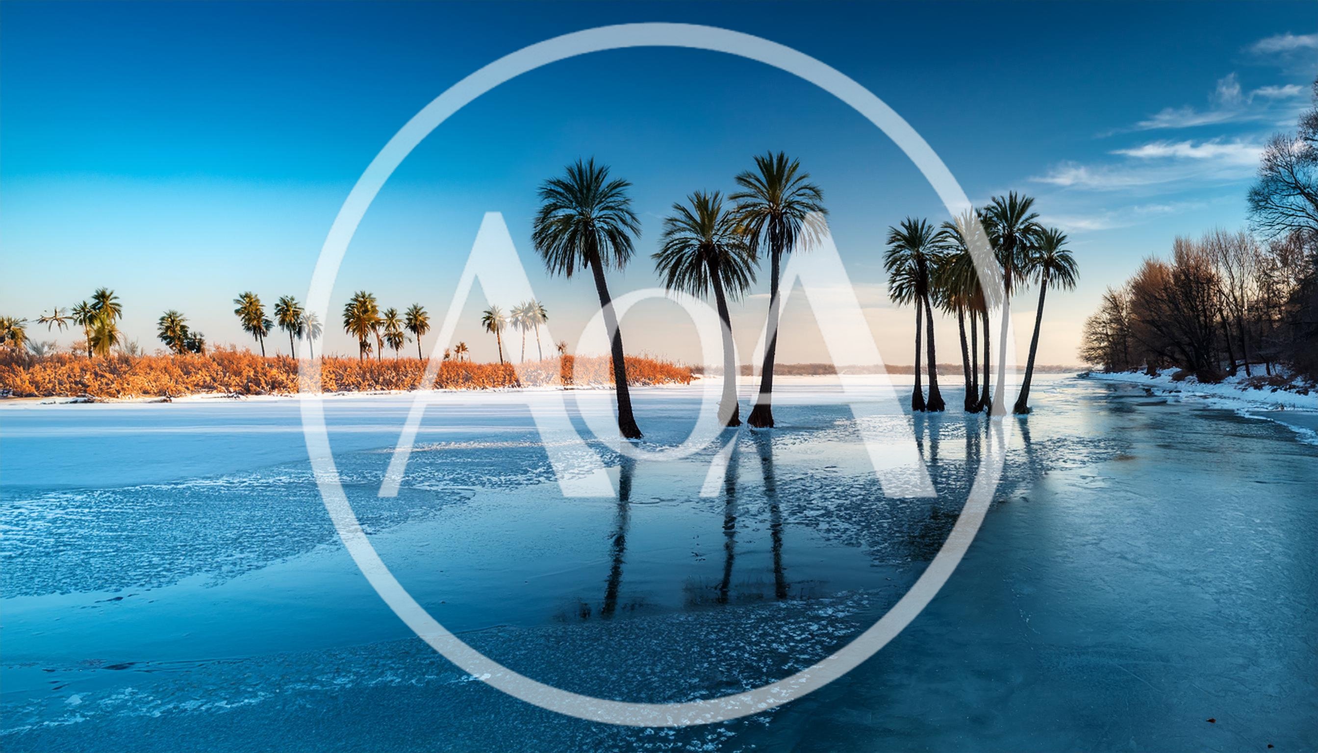 Palm Trees Standing In A Frozen Winter Lake