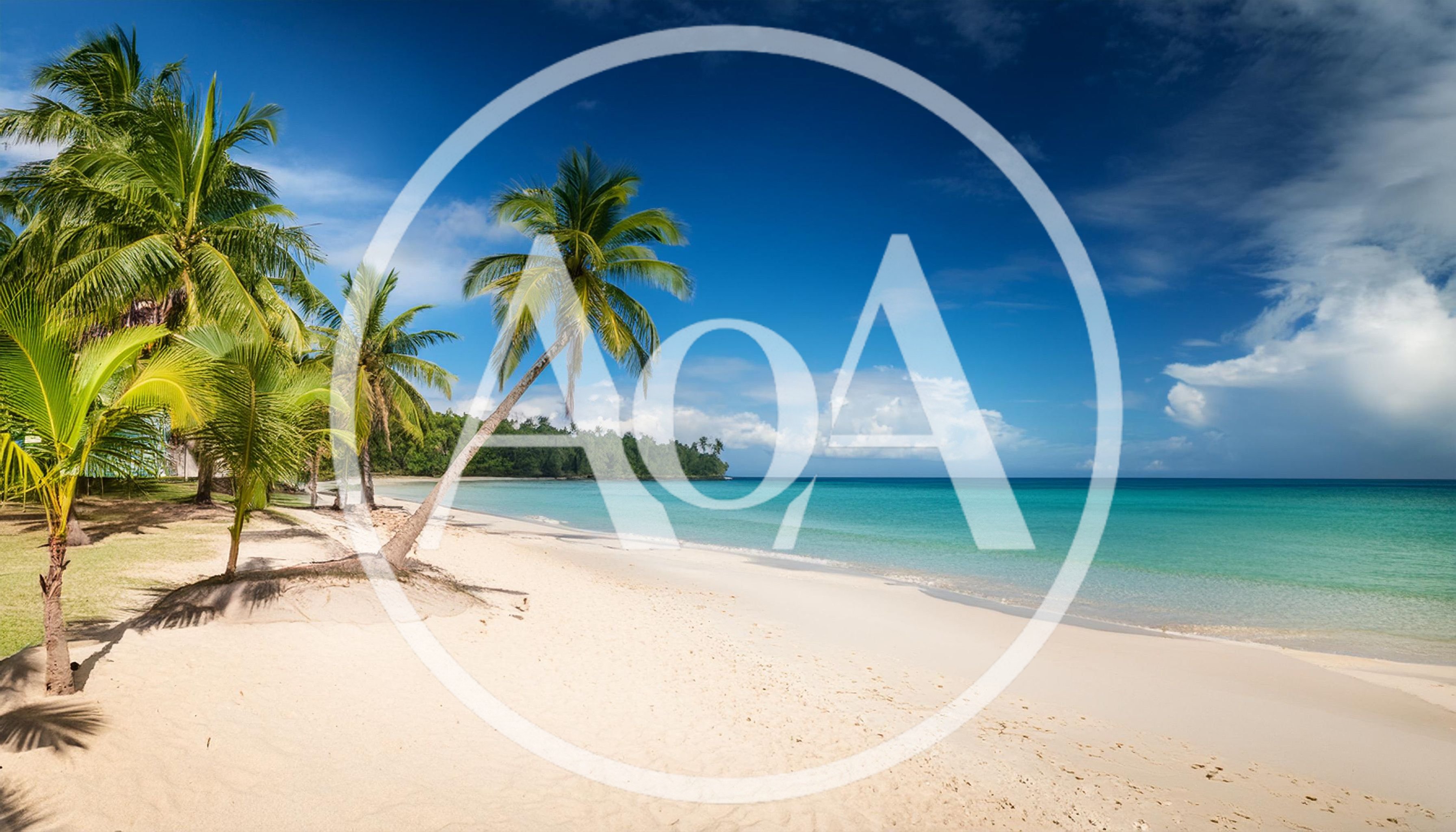 Tropical Beach With Palm Trees And Turquoise Water