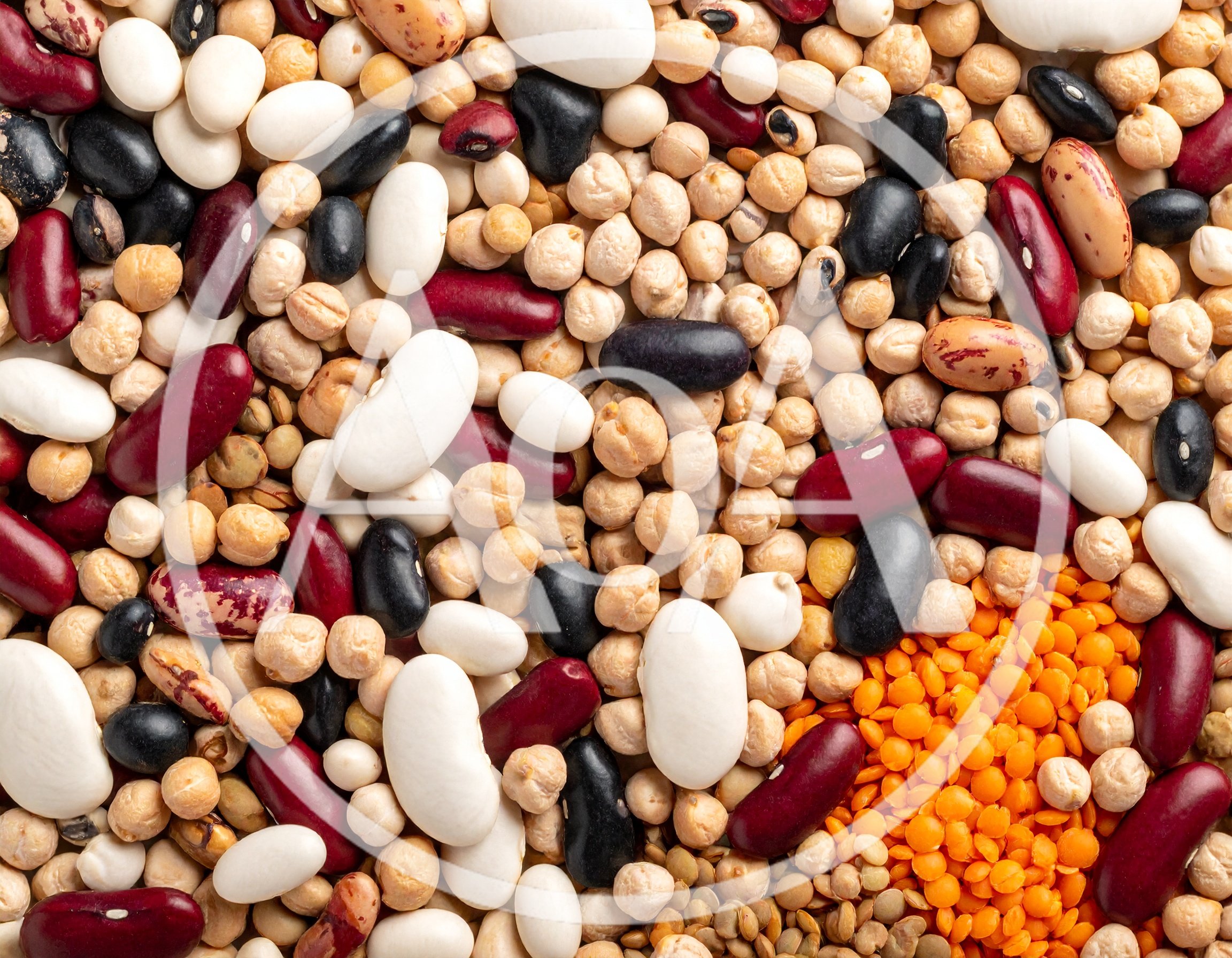 Assorted Dried Legumes and Pulses Mix